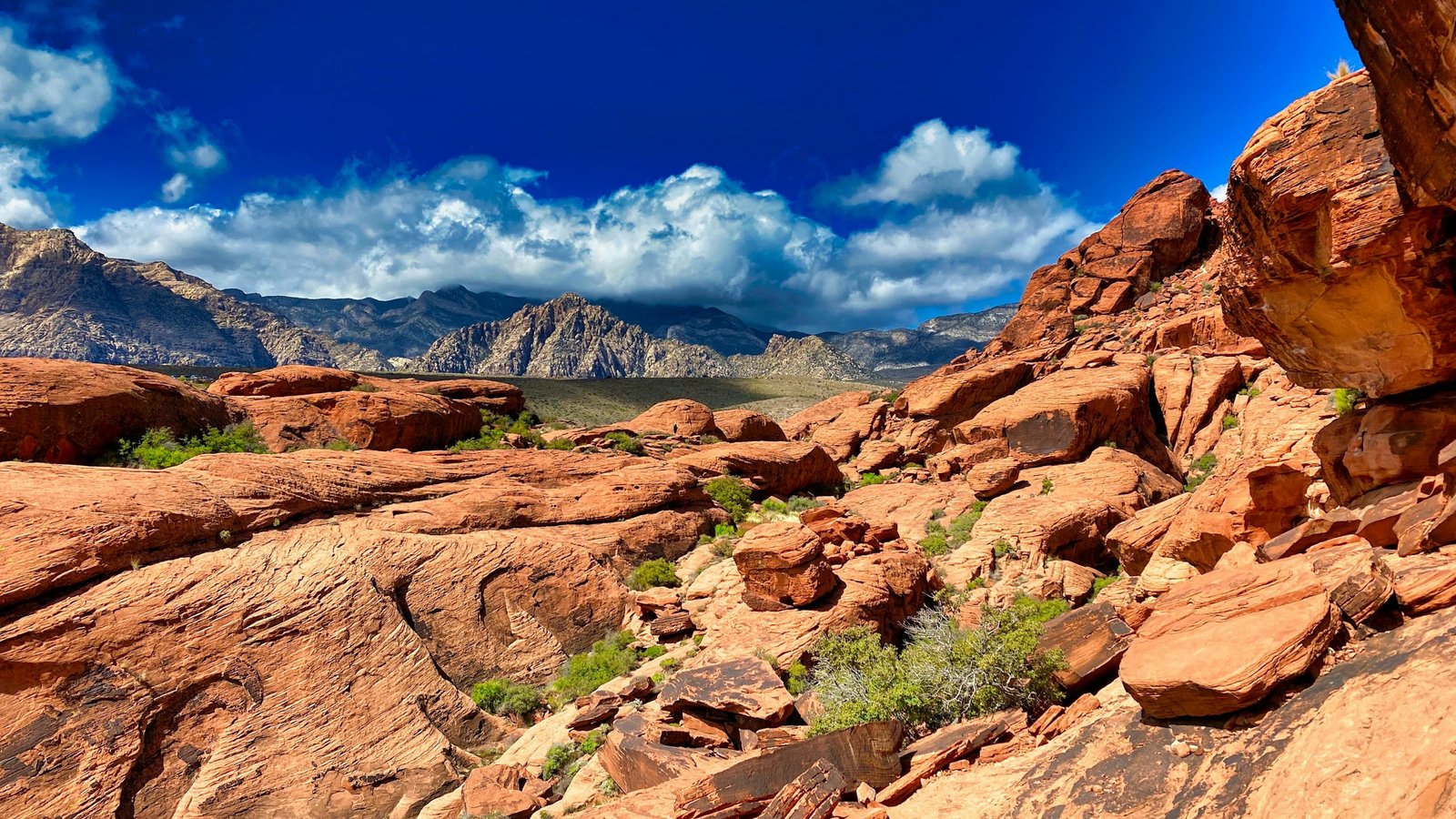 Red Rock Canyon Scenic Loop, Nevada (Daniel Halseth / Unsplash)